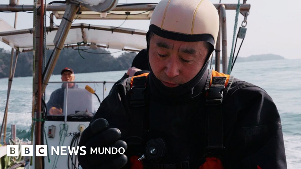Bajo las aguas del duelo: El hombre que lleva más de 700 inmersiones buscando a su esposa tras el tsunami de Japón