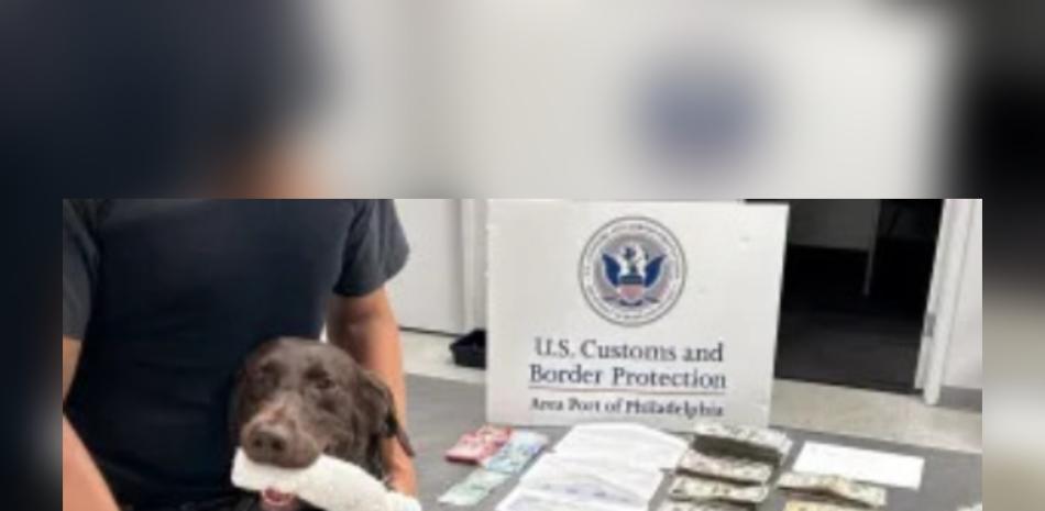 Canino detector intercepta a pareja que intentaba viajar a República Dominicana con más de 19,000 dólares no declarados