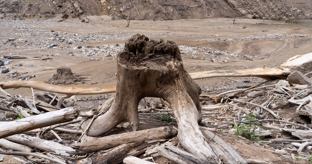Alerta regional por la llegada de un 'Súper El Niño': cosechas, matrices energéticas e inflación bajo seria amenaza