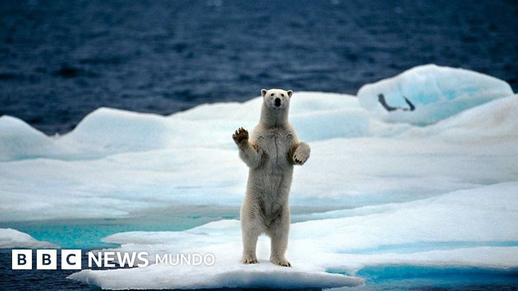 Más allá del hielo: por qué la Tierra tiene múltiples Polos Norte y el desafío que implica alcanzarlos