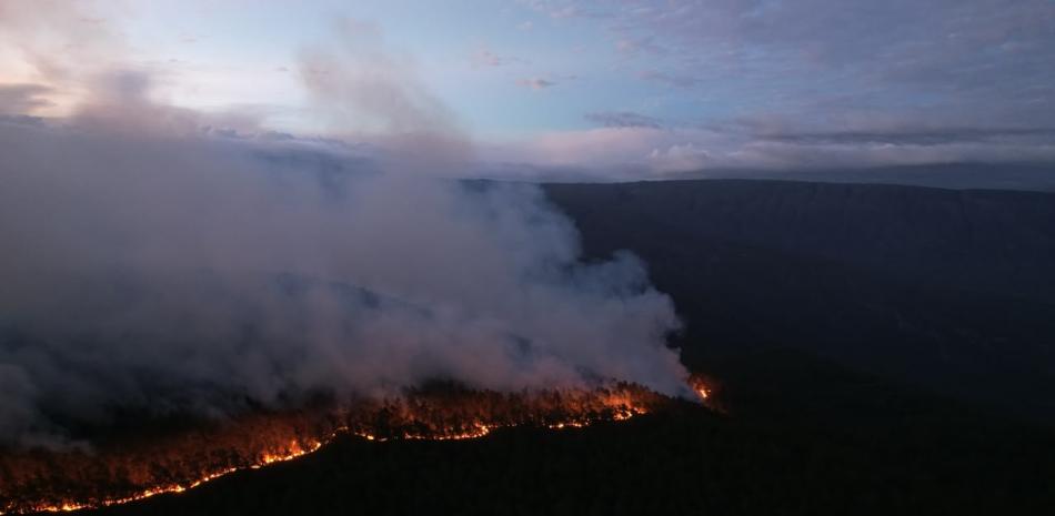 Alerta ecológica en la Sierra de Bahoruco: Voraz incendio forestal amenaza pinares y fauna endémica