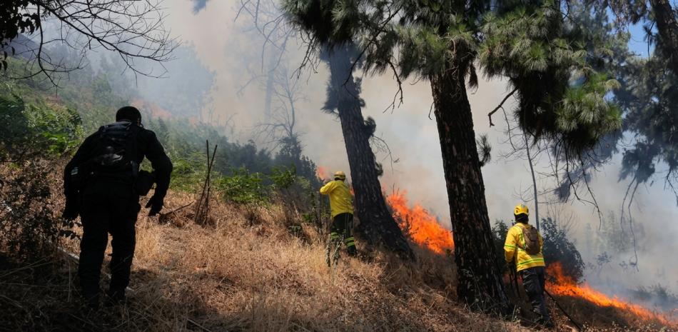 Ambientalistas exigen que la ofensiva contra el 'terrorismo ambiental' empiece desde el propio Estado