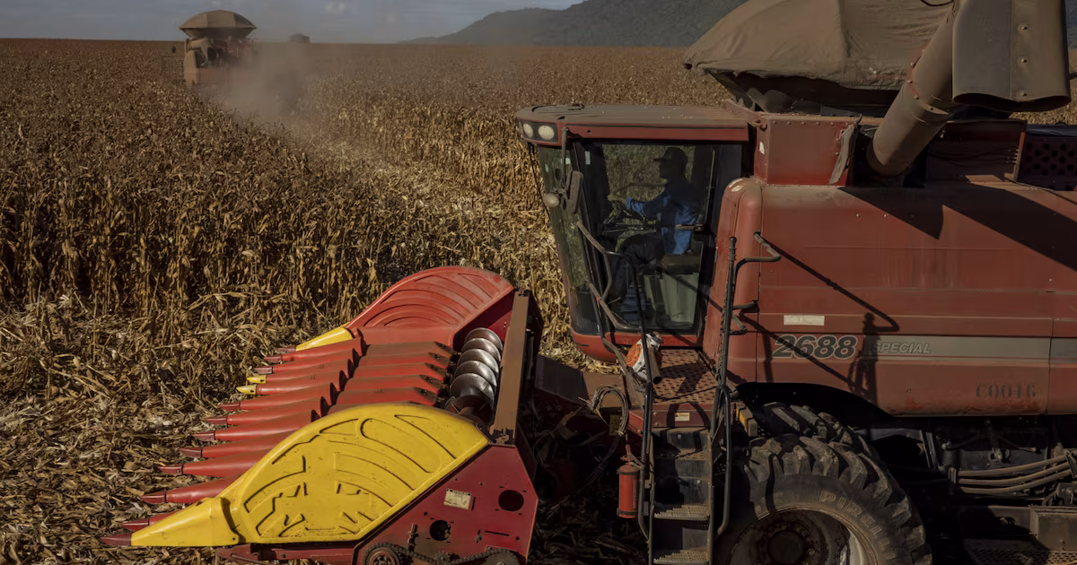 El impacto dispar de El Niño en América Latina: Ecuador y Brasil bajo presión mientras Argentina proyecta ganancias