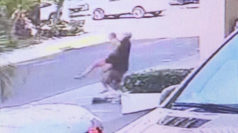 Cámaras de seguridad captan dramático intento de secuestro a una joven en Hawái