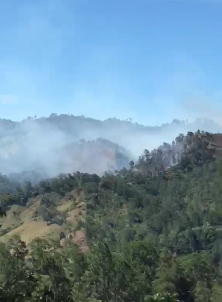Alerta ambiental: Denuncian quemas indiscriminadas en lomas de Manabao para siembras agrícolas