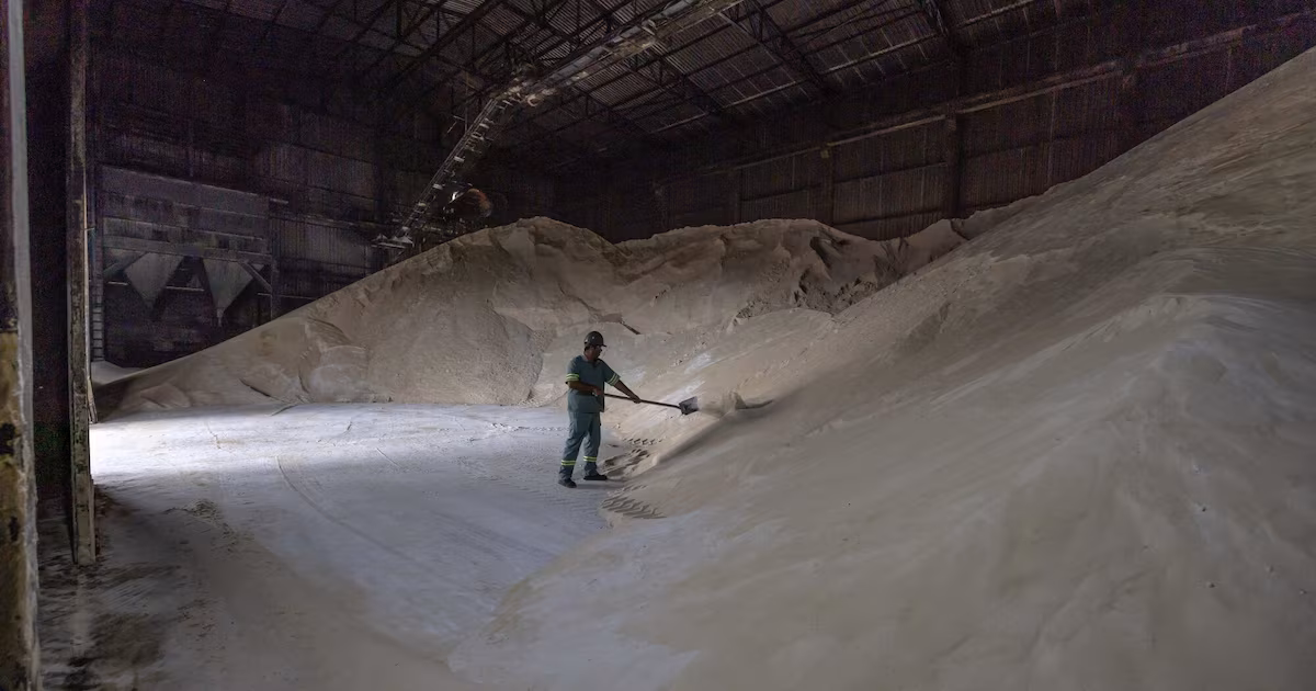 Azúcar y granos repuntan con fuerza mientras la madera y el ganado pierden terreno al cierre del tercer trimestre